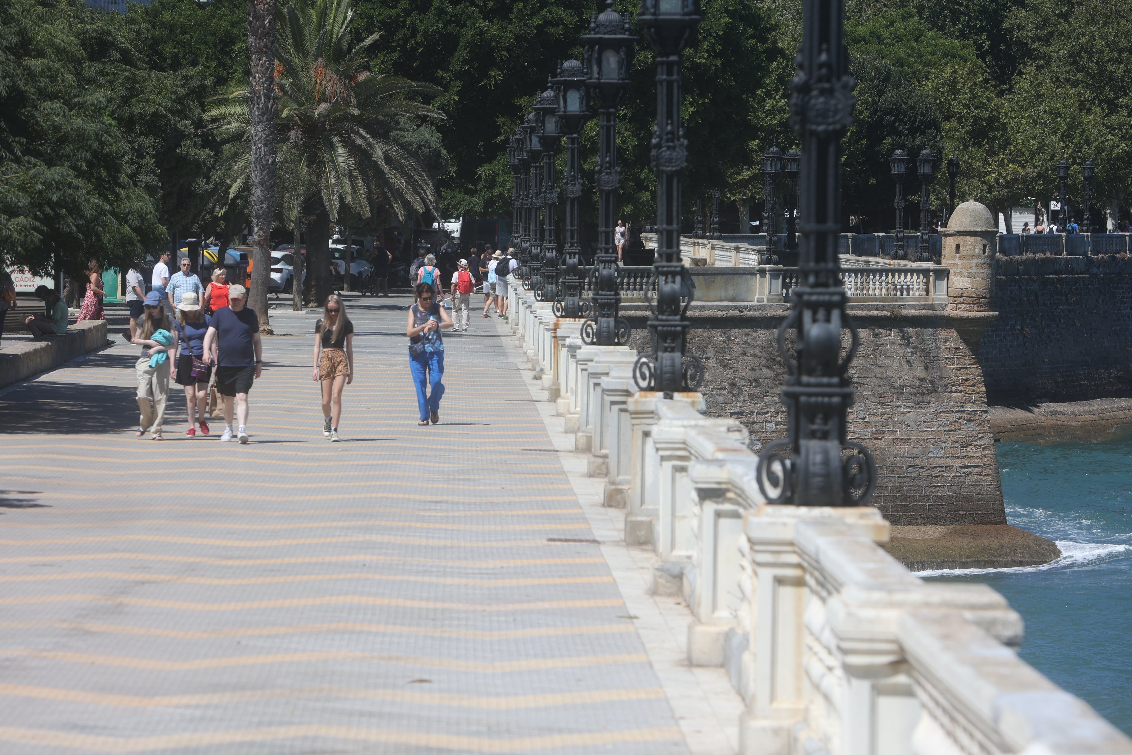 Fotos: El estado de las murallas de Cádiz