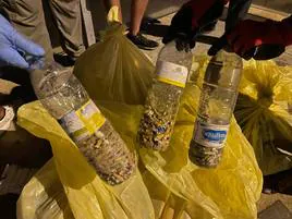 «En nuestra última recogida de basura en Santa María llenamos siete bolsas»