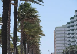 Aviso de la Aemet: alerta amarilla en Cádiz por viento de levante este fin de semana