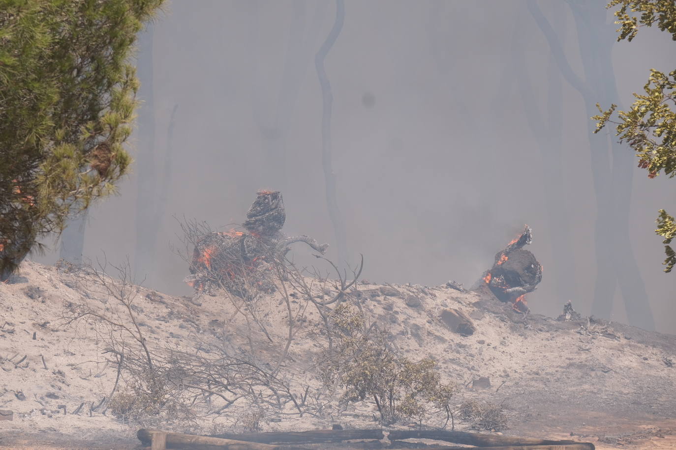Fotos: el incendio en las Canteras de Puerto Real, en imágenes