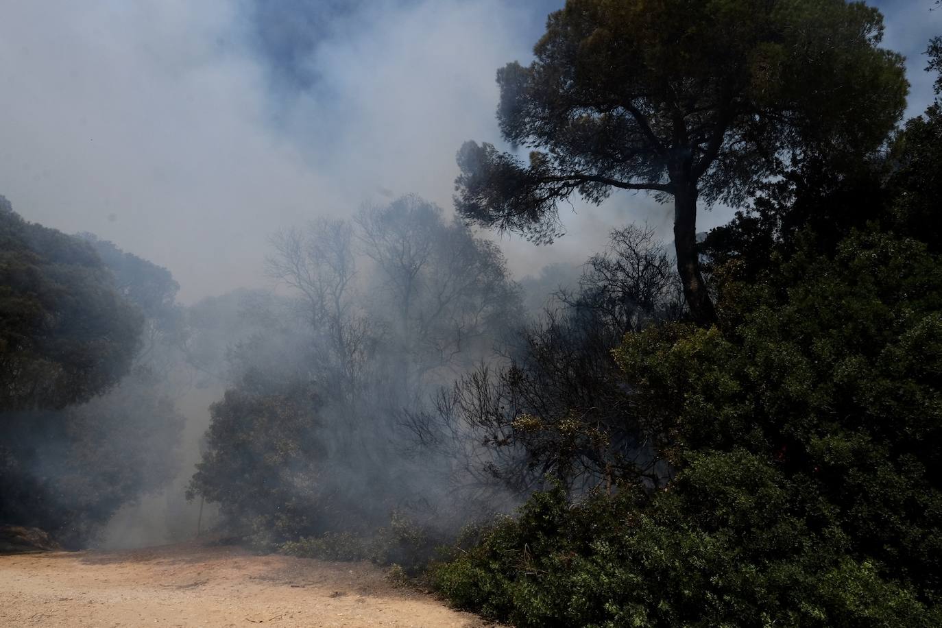 Fotos: el incendio en las Canteras de Puerto Real, en imágenes