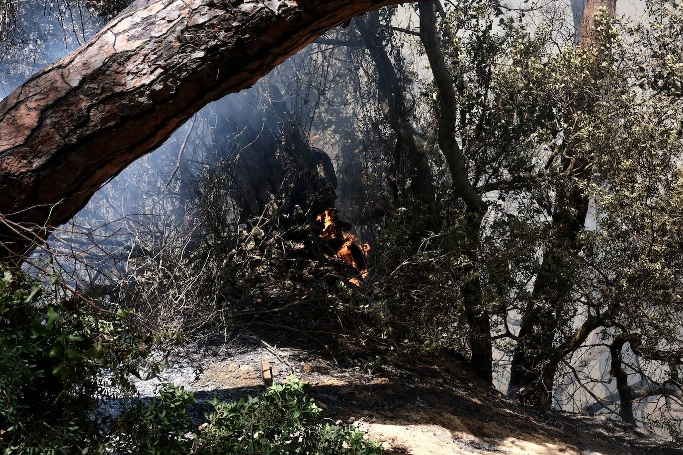 Fotos: el incendio en las Canteras de Puerto Real, en imágenes