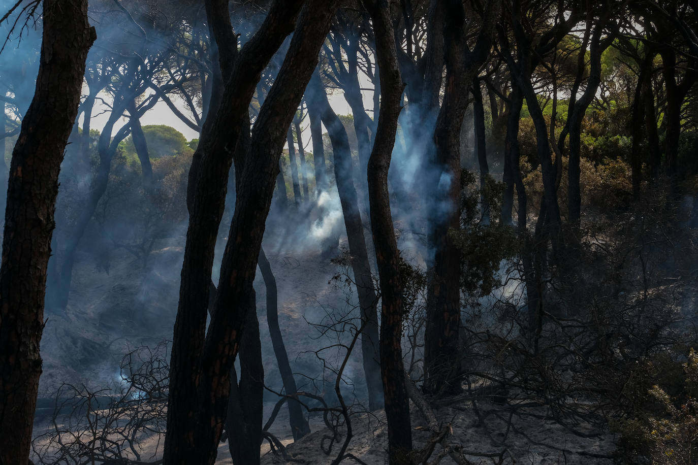 El día después en Puerto Real: la ciudad despierta entre las cenizas