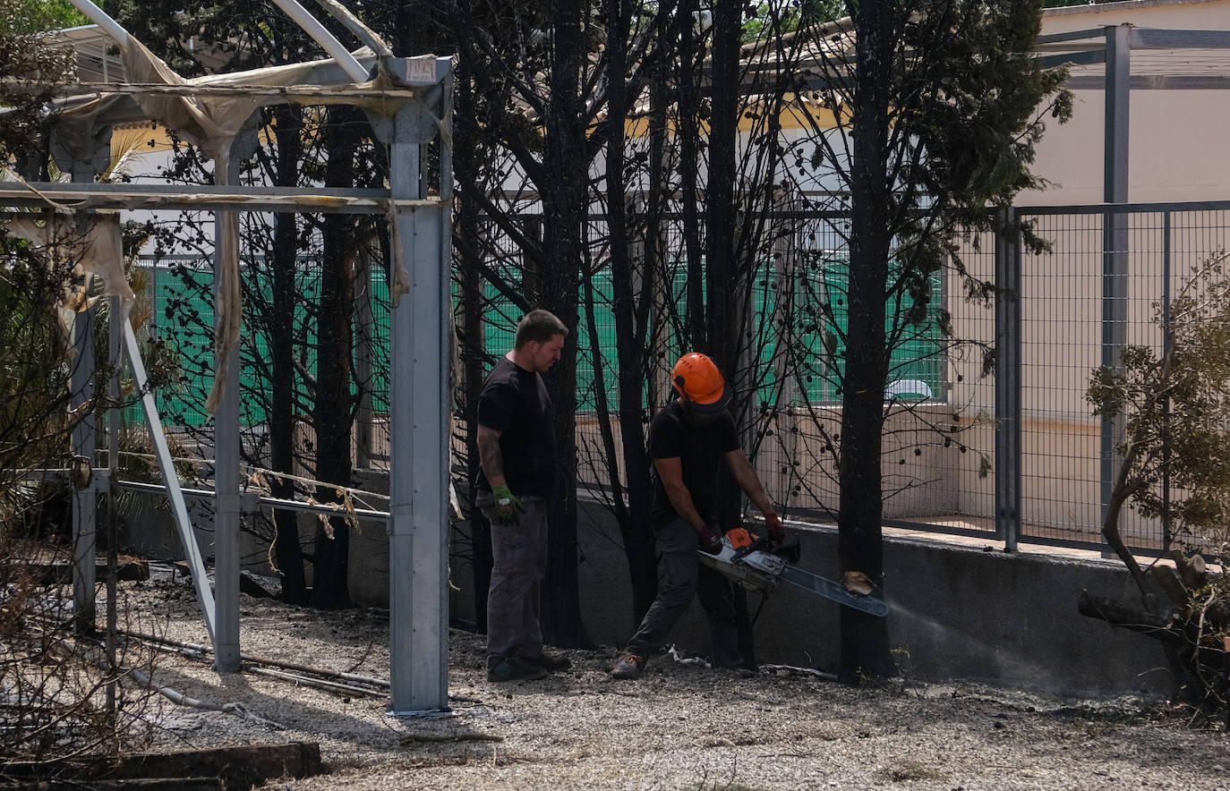 El día después en Puerto Real: la ciudad despierta entre las cenizas