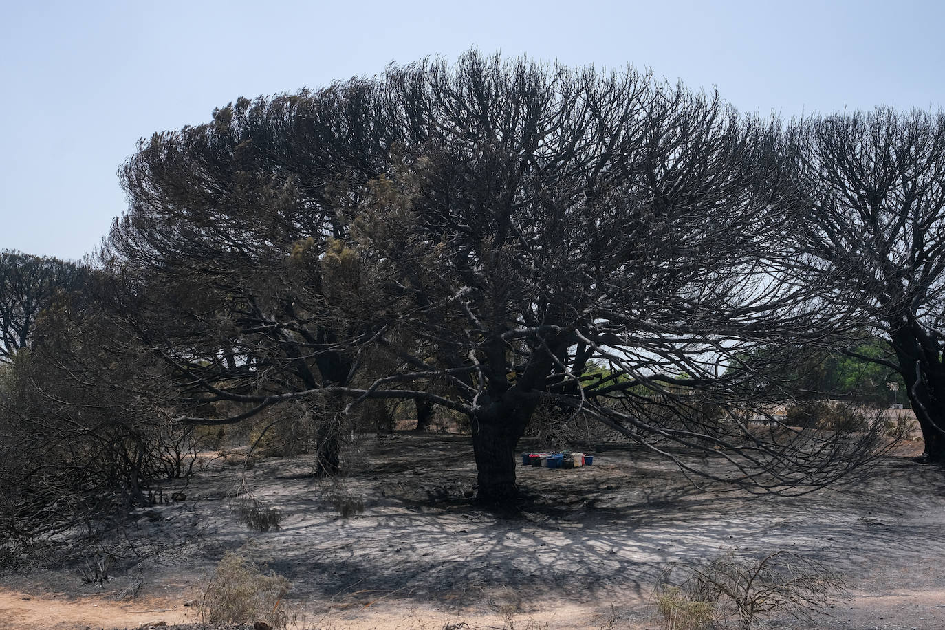 El día después en Puerto Real: la ciudad despierta entre las cenizas