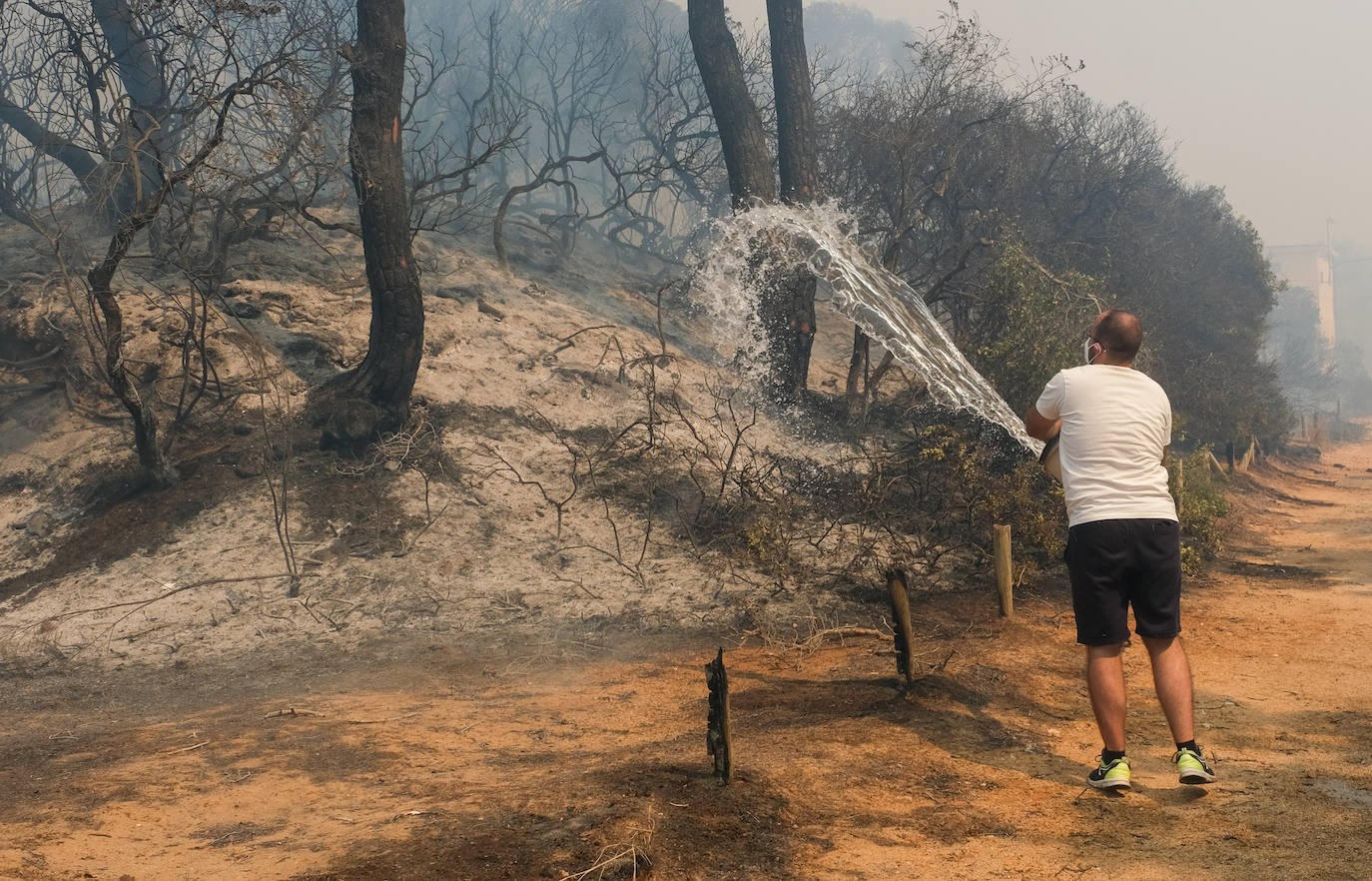 Así era el parque natural de Las Canteras y así ha quedado tras el incendio