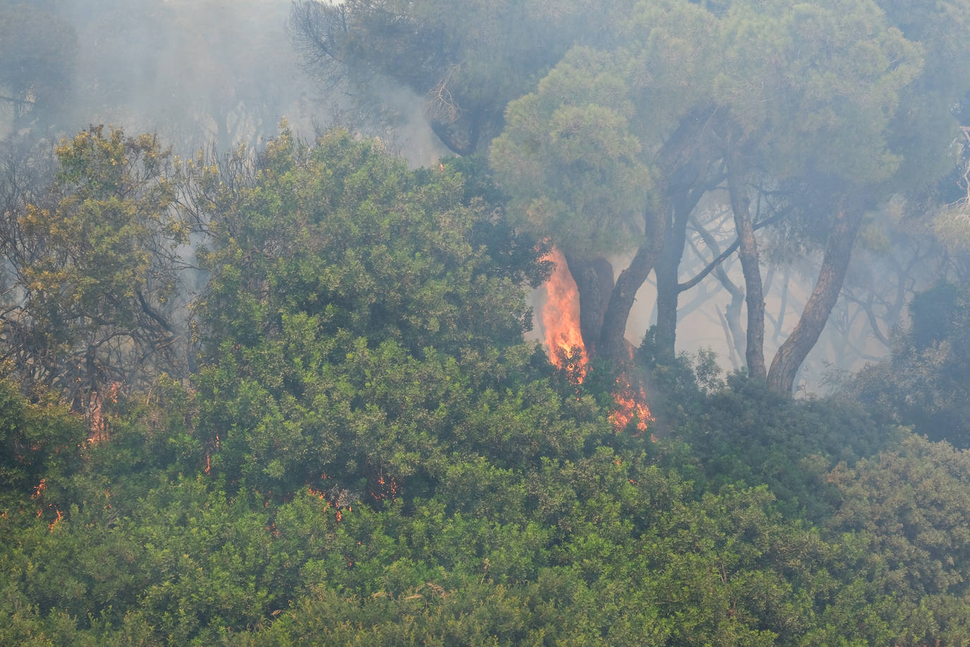 Así era el parque natural de Las Canteras y así ha quedado tras el incendio