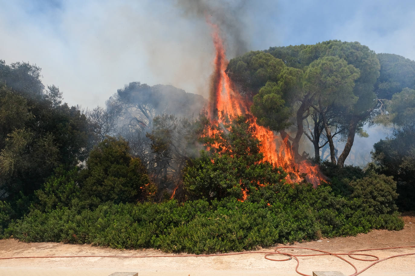 Así era el parque natural de Las Canteras y así ha quedado tras el incendio