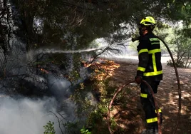 Las Canteras, el pulmón de la Bahía de Cádiz que ha ardido en llamas