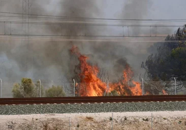 Un incendio en el Tiro Pichón, en El Puerto, obliga a suspender temporalmente el tren de Cercanías