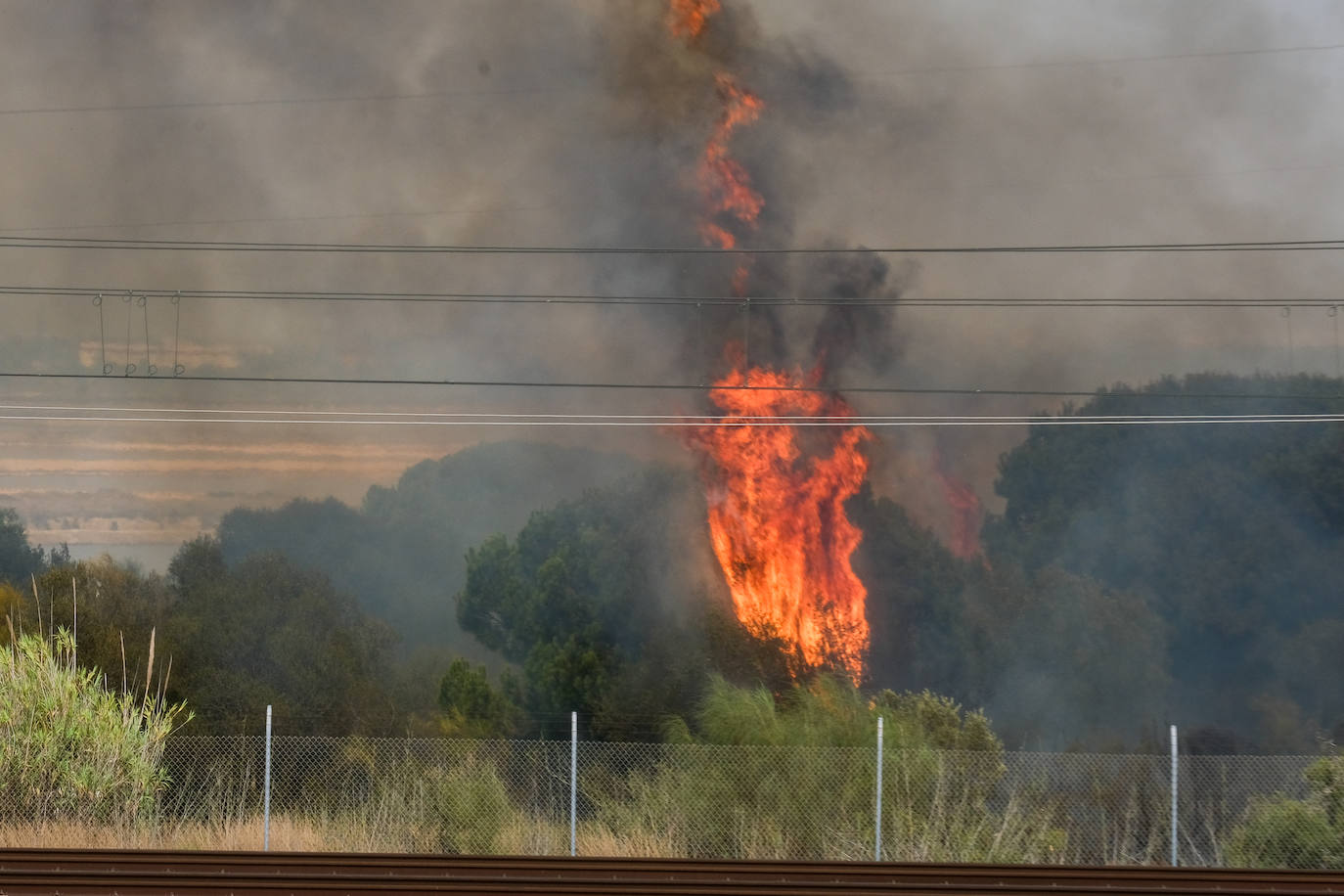 FOTOS: Fuego en el Tiro Pichón, en El Puerto