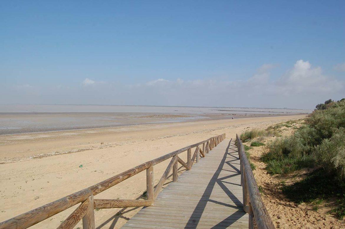 Las mejores playas de Sanlúcar para recorrer este verano 2023