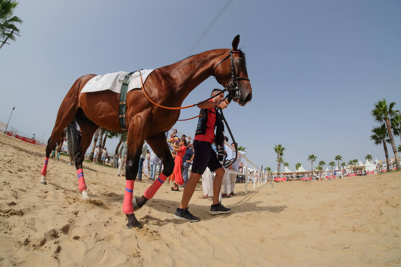 Fotos: Carreras de Caballos de Sanlúcar 2023 (jueves 10 de agosto)