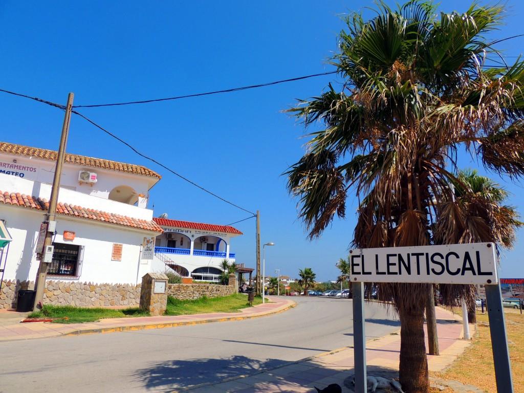 Qué ver en Bolonia: 10 sitios imprescindibles de la joya de Tarifa