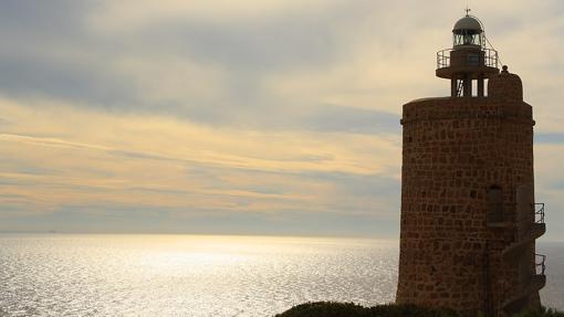 Qué ver en Bolonia: 10 sitios imprescindibles de la joya de Tarifa