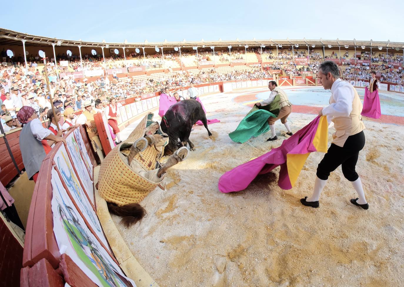 Corrida magallánica con los miuras en Sanlúcar: un toro indultado y una gran tarde