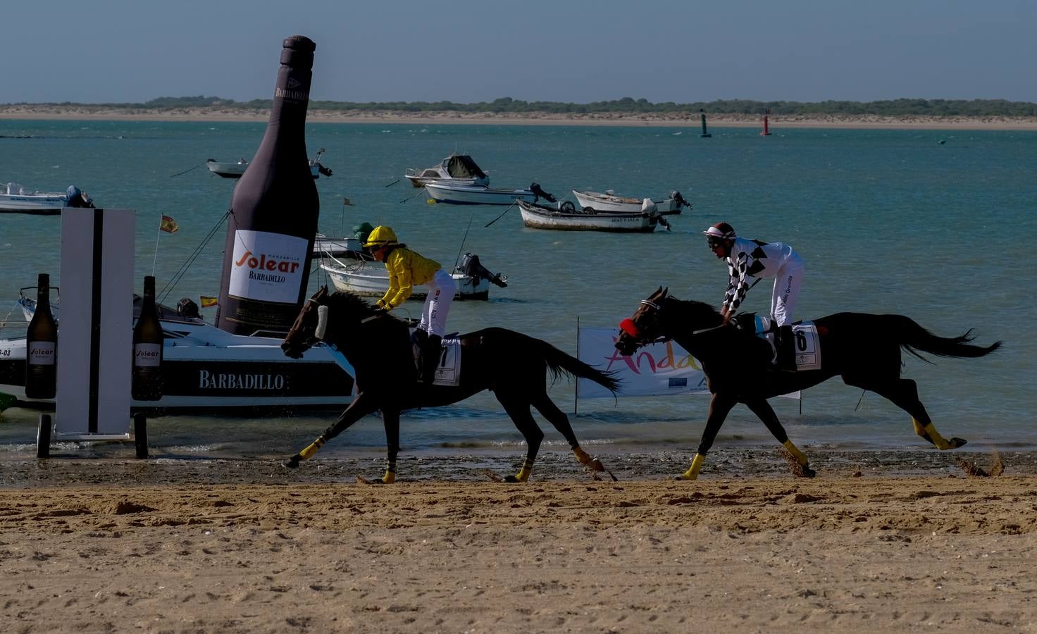 Fotos: Sanlúcar disfruta con el último galope del verano