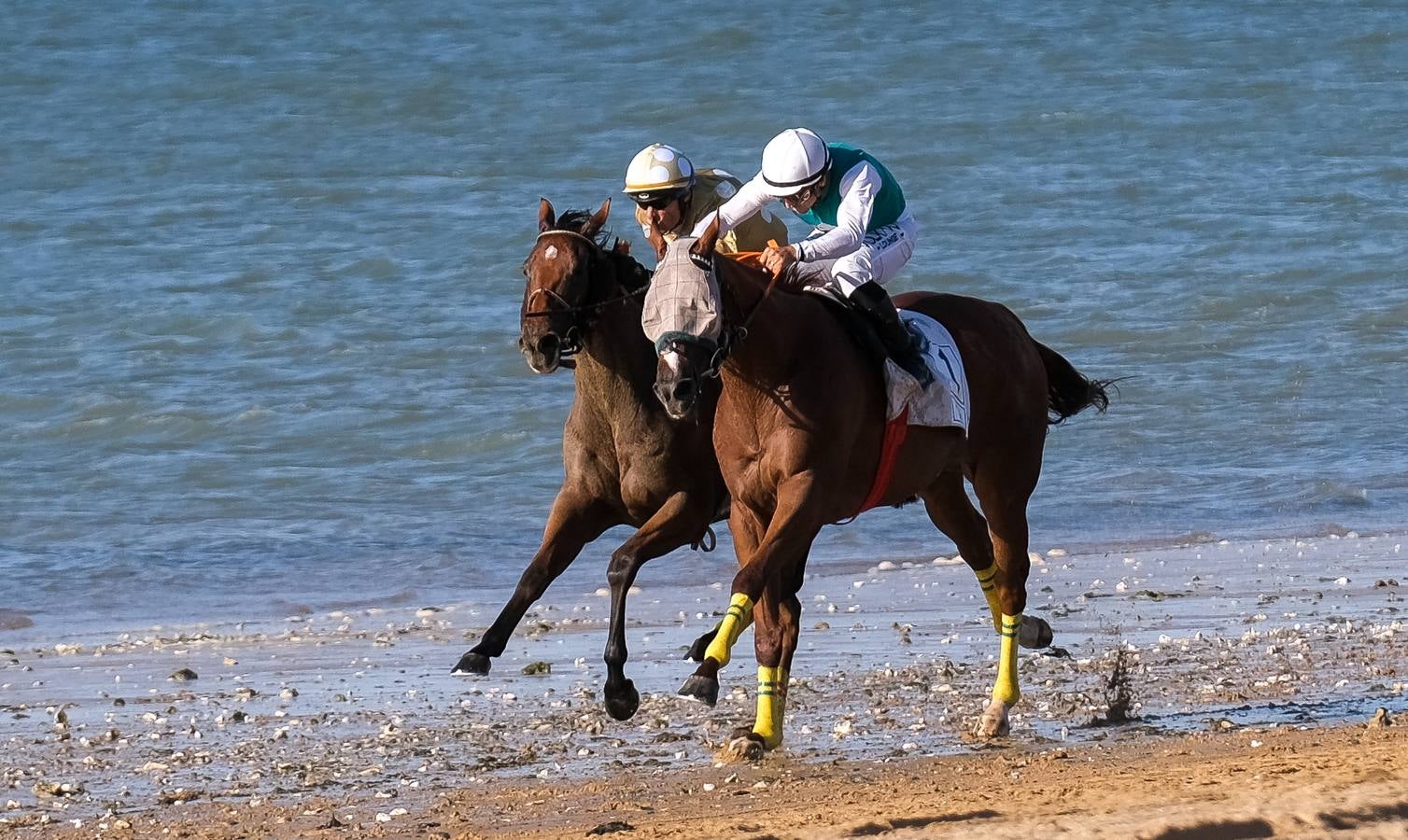 Fotos: Sanlúcar disfruta con el último galope del verano