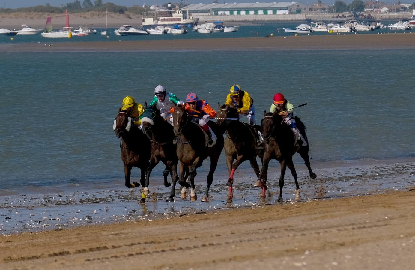 Fotos: Sanlúcar disfruta con el último galope del verano