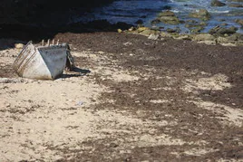 El Gobierno sigue sin responder a la petición del Ayuntamiento para la retirada de algas