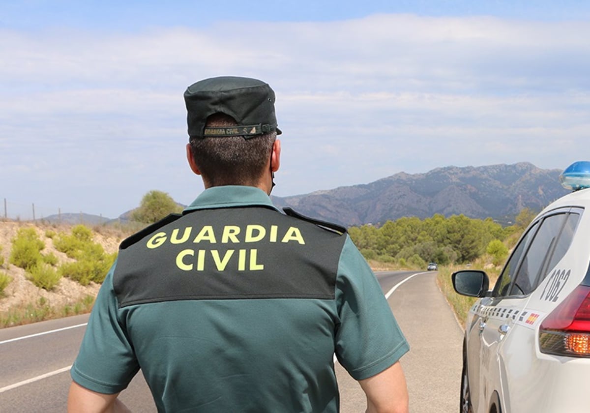 Un agente de la Guardia Civil junto a un vehículo en una carretera..
