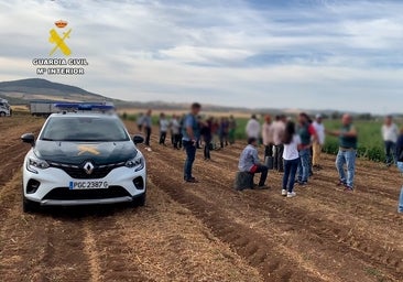 Golpe de la Guardia Civil a una explotación agrícola con más de 30 trabajadores en situación irregular