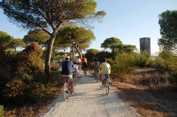 Las mejores rutas en bici de la provincia de Cádiz: ¿cuáles son?