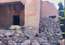 Vídeo: los bomberos de Cádiz inician el regreso sin haber podido encontrar a nadie vivo bajo los escombros