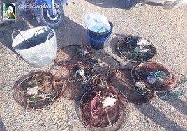 Intervienen once kilos de cangrejo verde en una inspección contra el marisqueo ilegal en Puerto Real