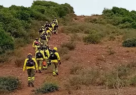Vídeo: Bomberos del Infoca de Huelva y Málaga se suman a las labores de extinción del incendio de Algeciras