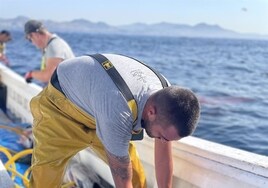 Una pequeña empresa familiar de Tarifa logra el primer sello MSC de pesca sostenible de atún rojo en España
