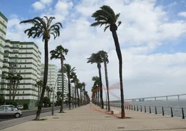 El tiempo en Cádiz: la Aemet activa este viernes el aviso amarillo por fuerte oleaje en el litoral gaditano y el Estrecho