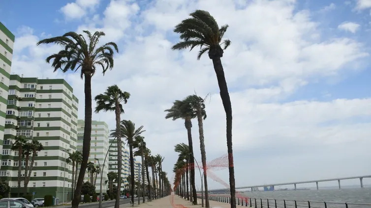 El tiempo en Cádiz: la Aemet activa este viernes el aviso amarillo por fuerte oleaje en el litoral gaditano y el Estrecho