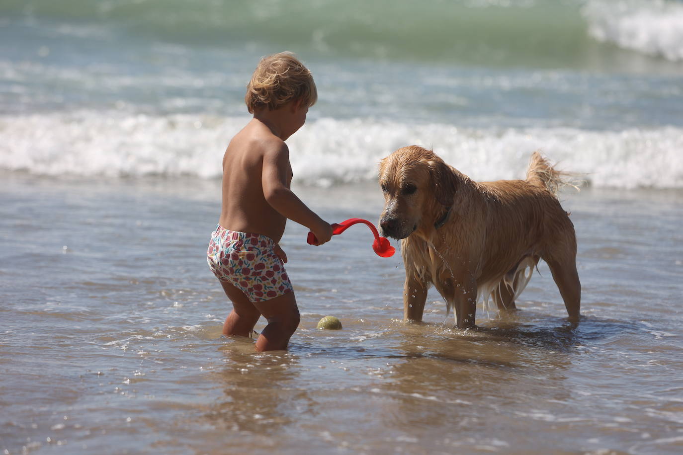 Fotos: Los gaditanos disfrutan del &#039;veroño&#039;... y con sus mascotas