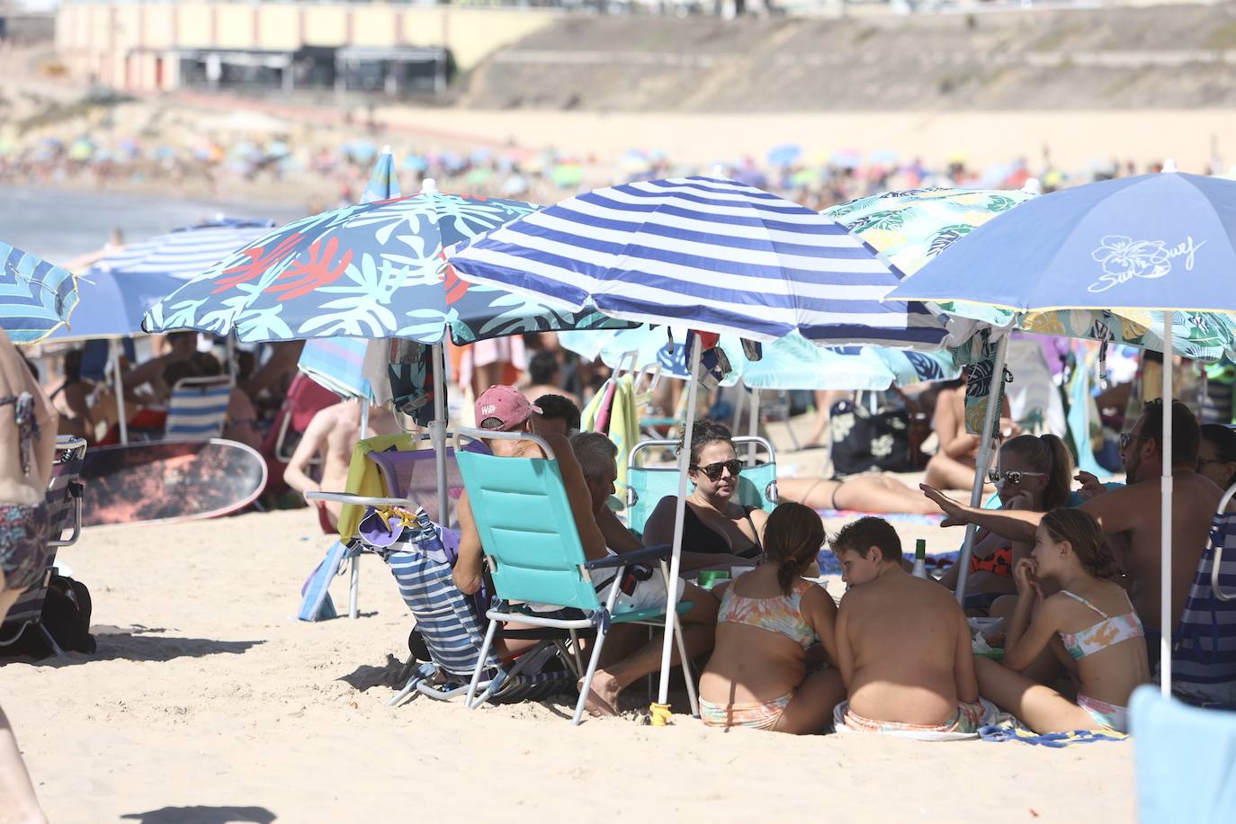 Fotos: Los gaditanos disfrutan del &#039;veroño&#039;... y con sus mascotas