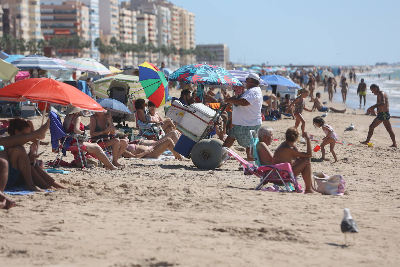 Fotos: Los gaditanos disfrutan del &#039;veroño&#039;... y con sus mascotas