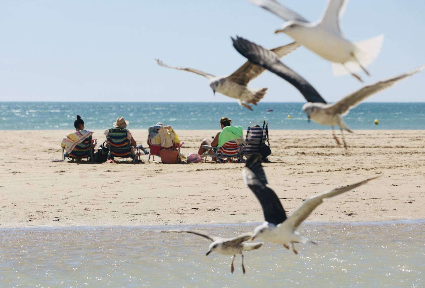 Fotos: Los gaditanos disfrutan del &#039;veroño&#039;... y con sus mascotas
