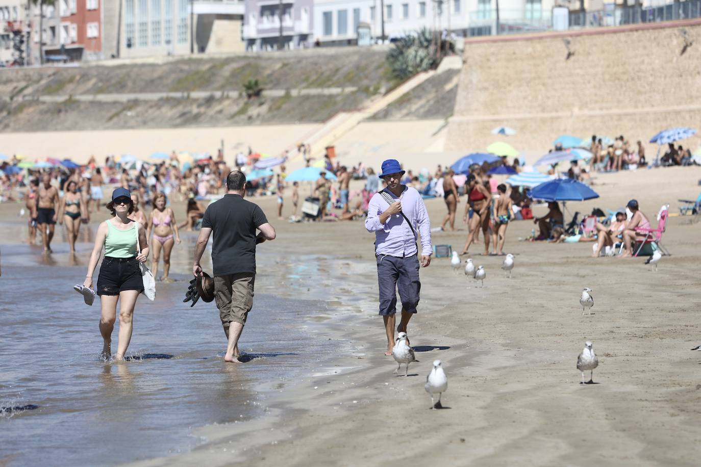 Fotos: Los gaditanos disfrutan del &#039;veroño&#039;... y con sus mascotas