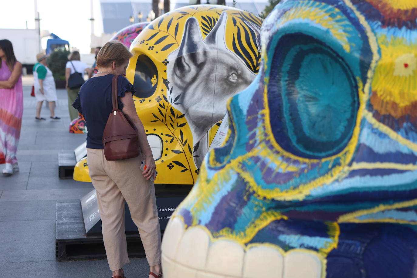 Fotos: así es la nueva exposición que hay en San Juan de Dios