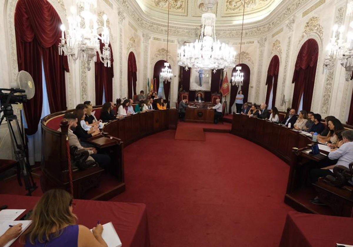 Momento del Pleno monográfico de vivienda celebrado este miércoles en Cádiz