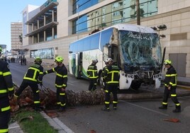 Moreno se desplazará a Cádiz para «dar un abrazo a los familiares» de las víctimas del accidente del autobús