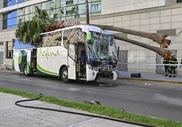 Ayuntamiento y Subdelegación se unen para revisar el acceso a Cádiz por el segundo puente y plantear posibles mejoras