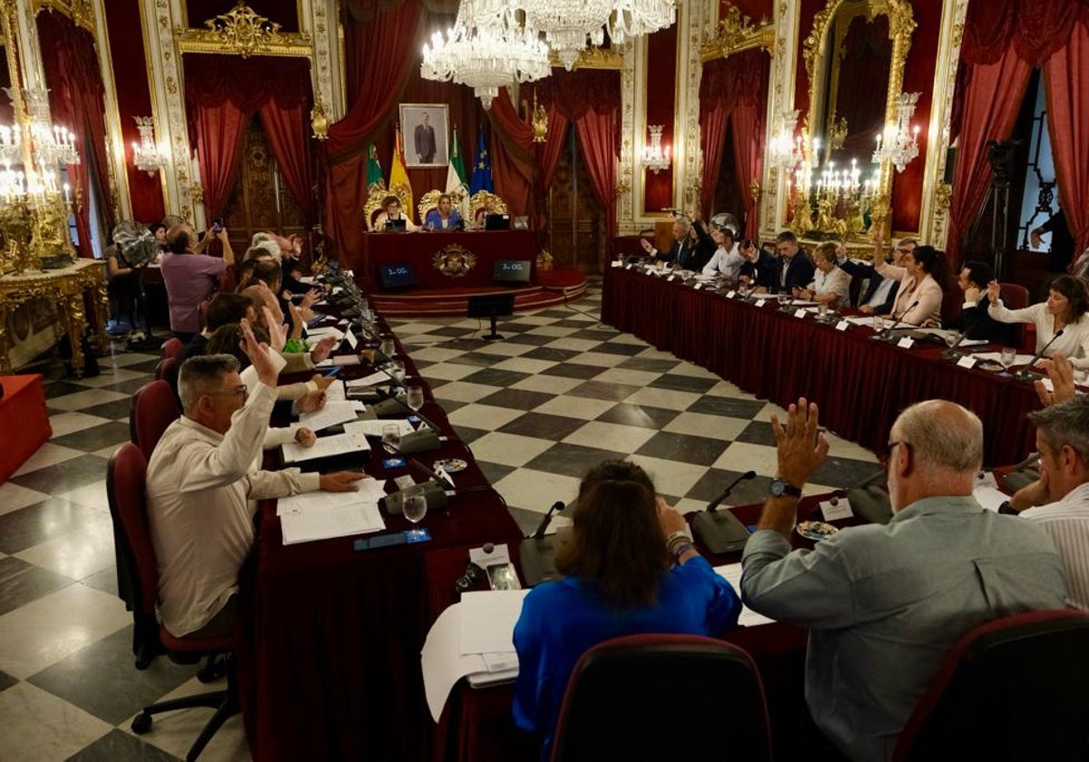 Momento del debate y votación en el Pleno de este miércoles en la Diputación de Cádiz