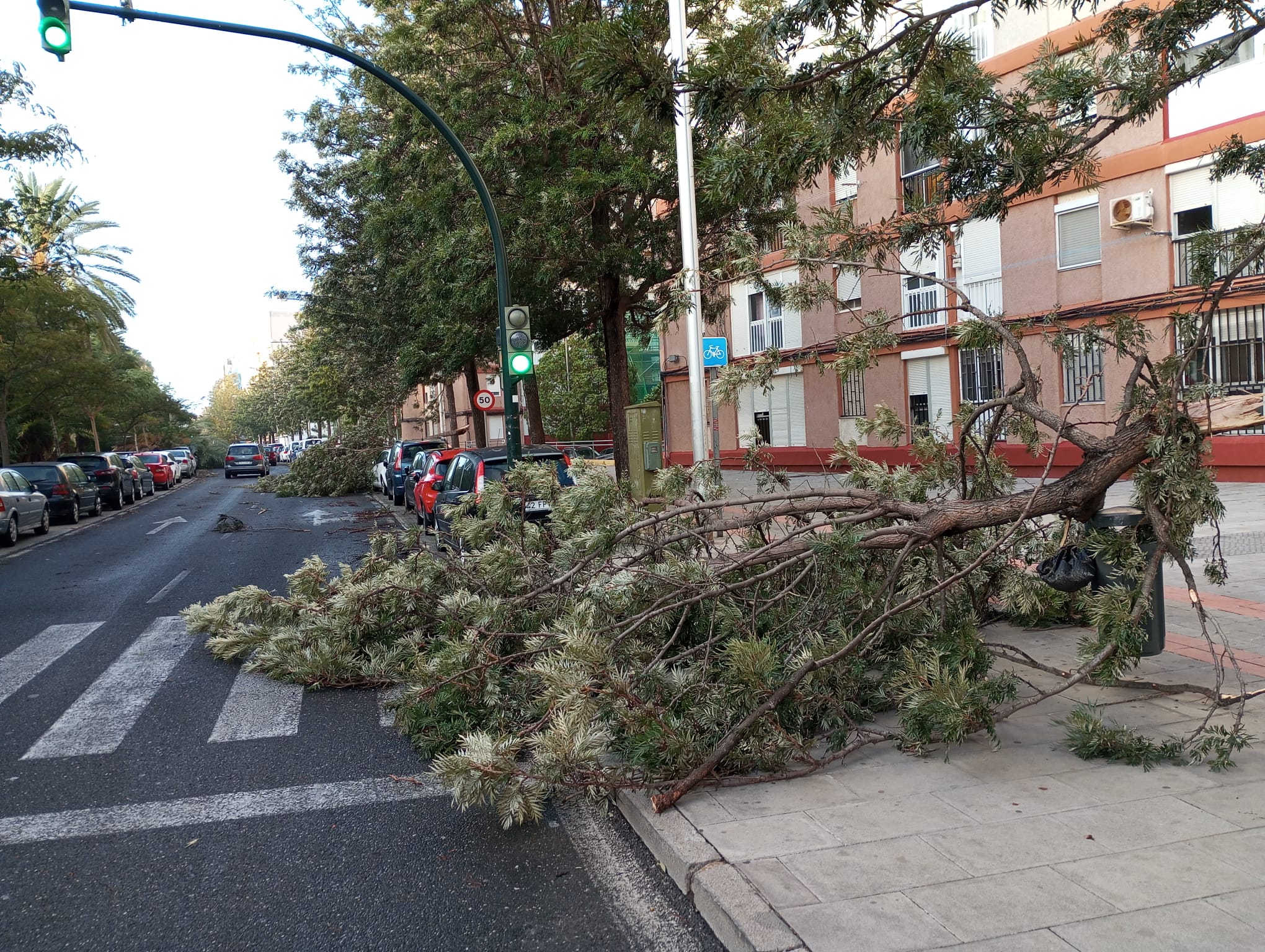 Fotos: Los efectos del paso de la borrasca Bernard en Cádiz