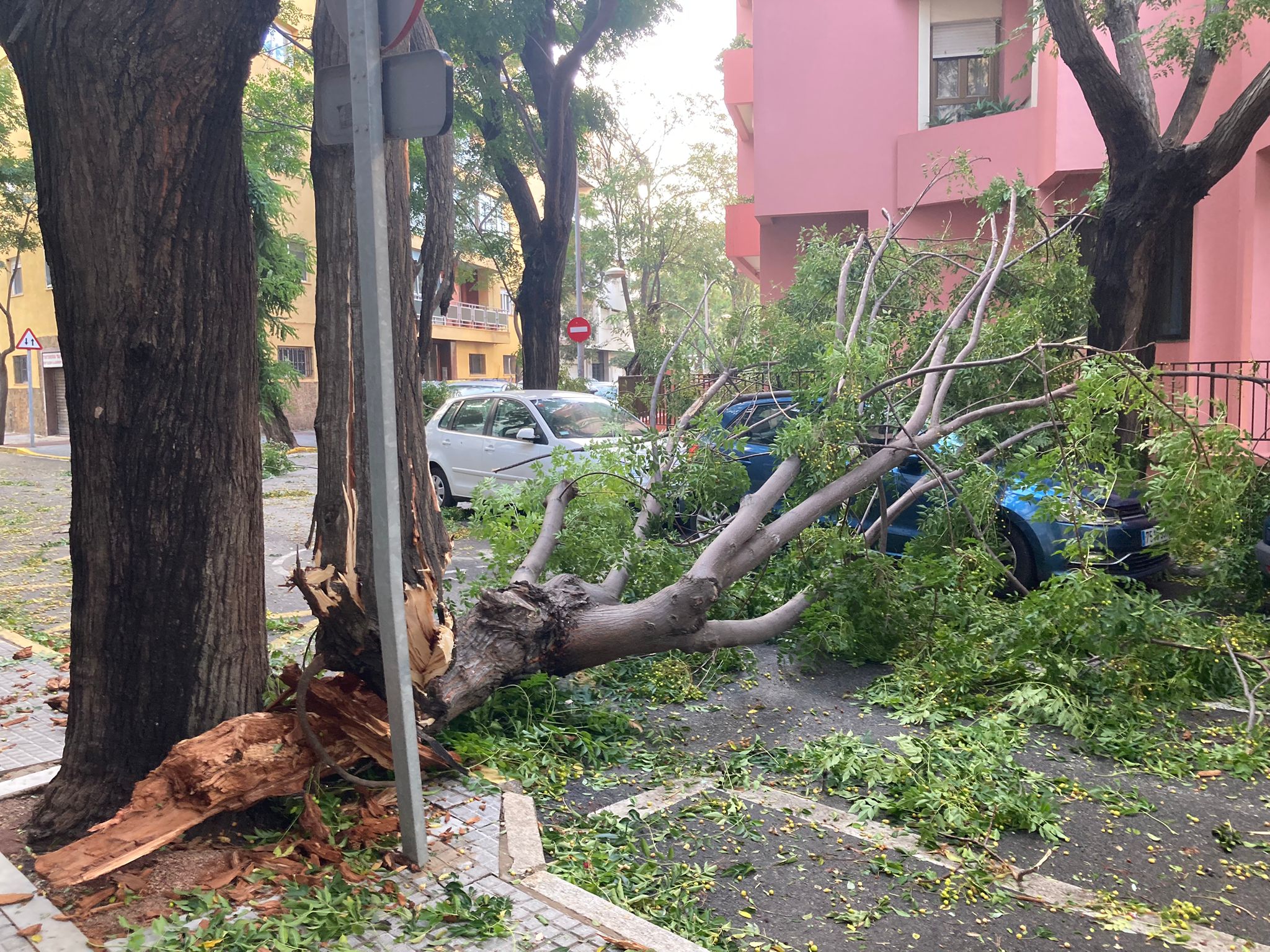 Fotos: Los efectos del paso de la borrasca Bernard en Cádiz