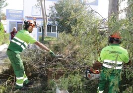 La Policía Local de Chiclana recibe casi 200 llamadas de emergencia durante el temporal
