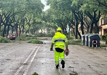 La borrasca Bernard deja 96 incidencias en Jerez y activa el nuevo plan de riesgo de arbolado