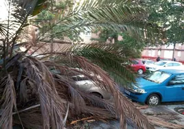 'Bernard' deja una profunda huella en la capital gaditana: casi 120 actuaciones y más de 20 vehículos afectados