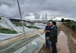El delegado de Agricultura visita cultivos afectados por la tormenta en Chipiona y Sanlúcar