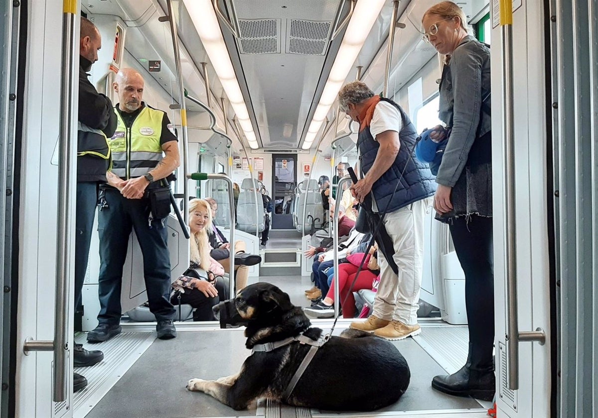 Un usuario con perro guía en el transporte urbano.